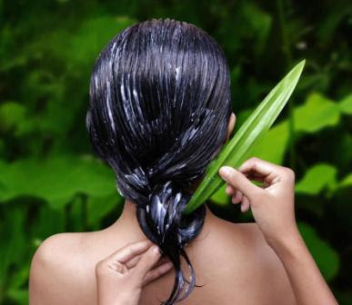 Bagaimana Cara Merawat Rambut dengan Nutrisi Alami?