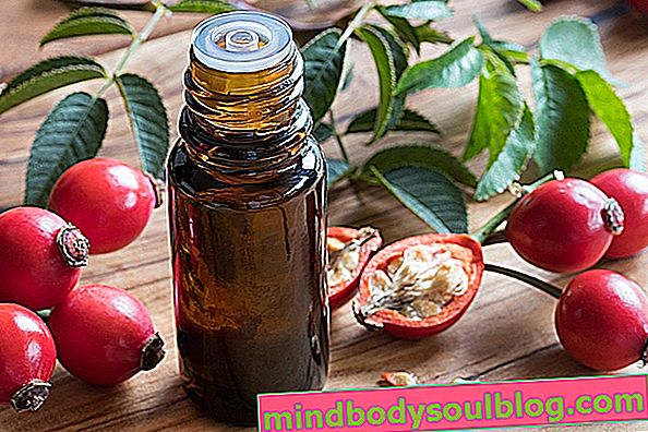 Minyak Rosehip untuk Rambut: Rahasia Menjaga Kelembapan secara Alami