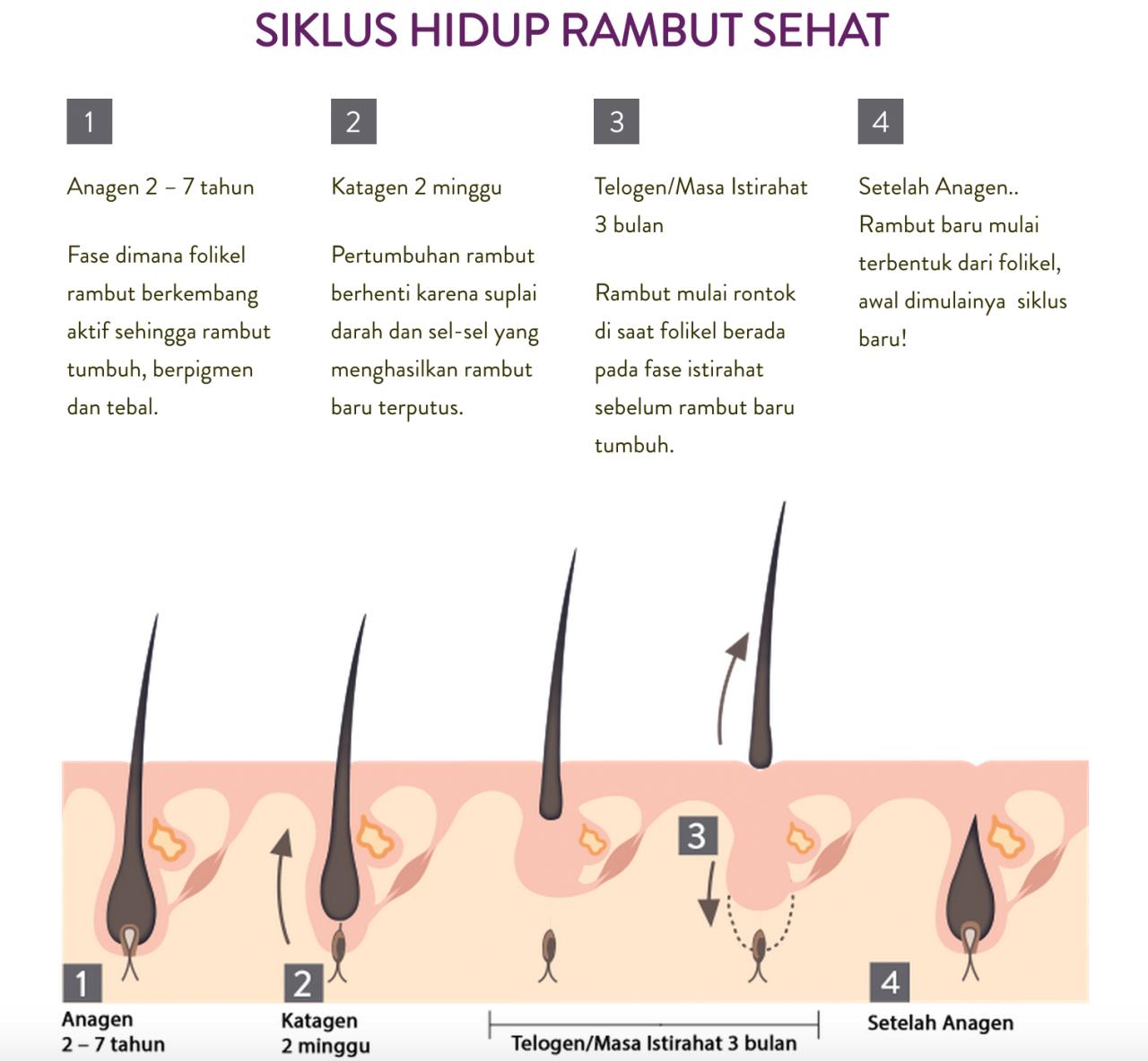 Rambut Bercabang dan Rontok? Tenang, Ada Solusinya!