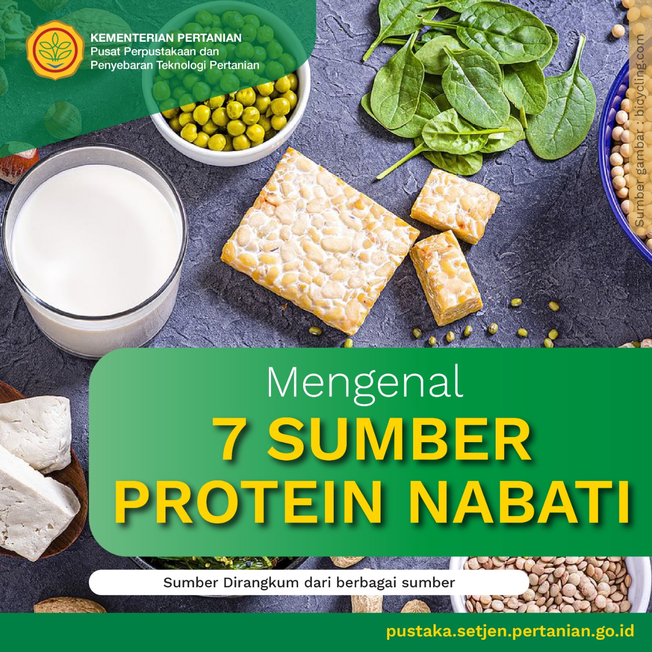 Protein Nabati untuk Rambut Sehat: Alternatif yang Menyehatkan