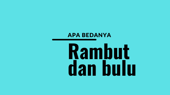 Rambut dan Bulu: Saudara Kembar yang Berbeda