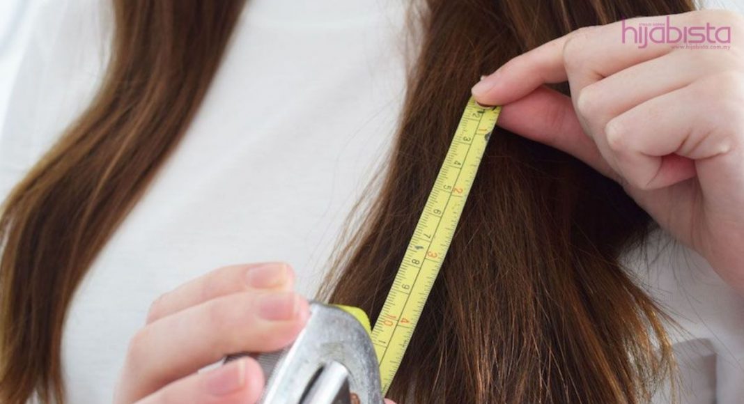 Rahasia Rambut Tebal: Nutrisi yang Membantu Rambut Anda Tumbuh Lebih Lebat