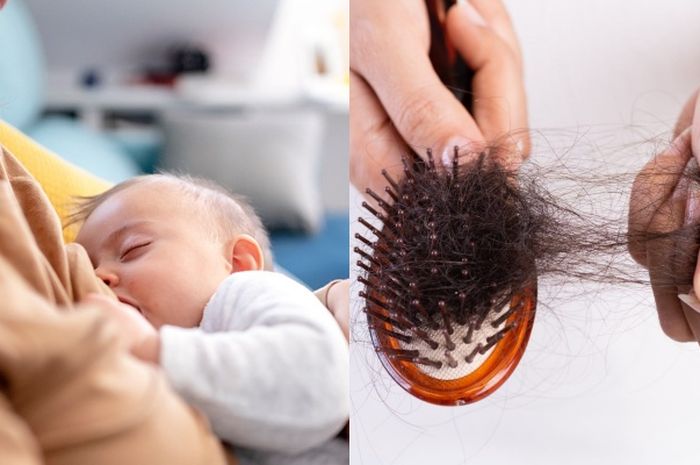 Solusi Mengatasi Rambut Rontok pada Anak dengan Aman: Panduan Lengkap untuk Orang Tua