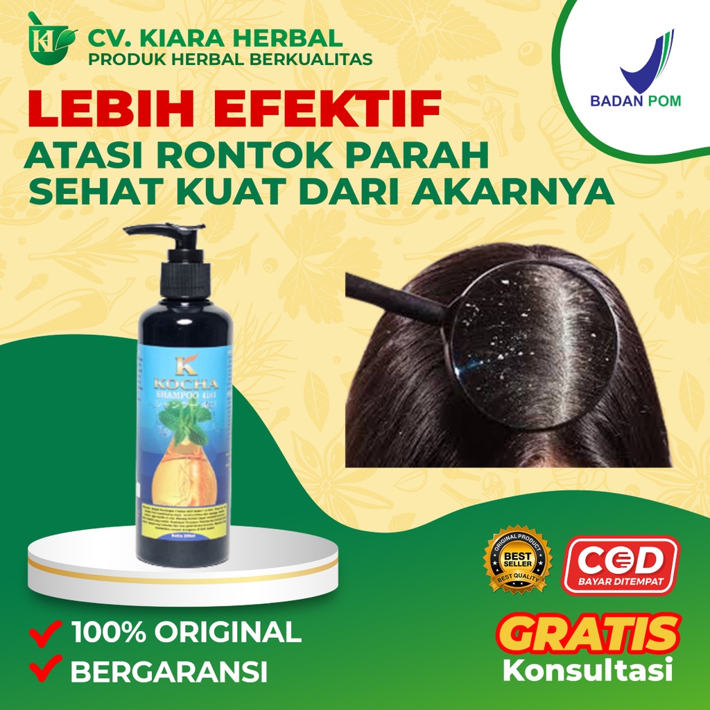 Perangi Ketombe dan Rambut Rontok: 12 Rekomendasi Shampoo Terbaik!