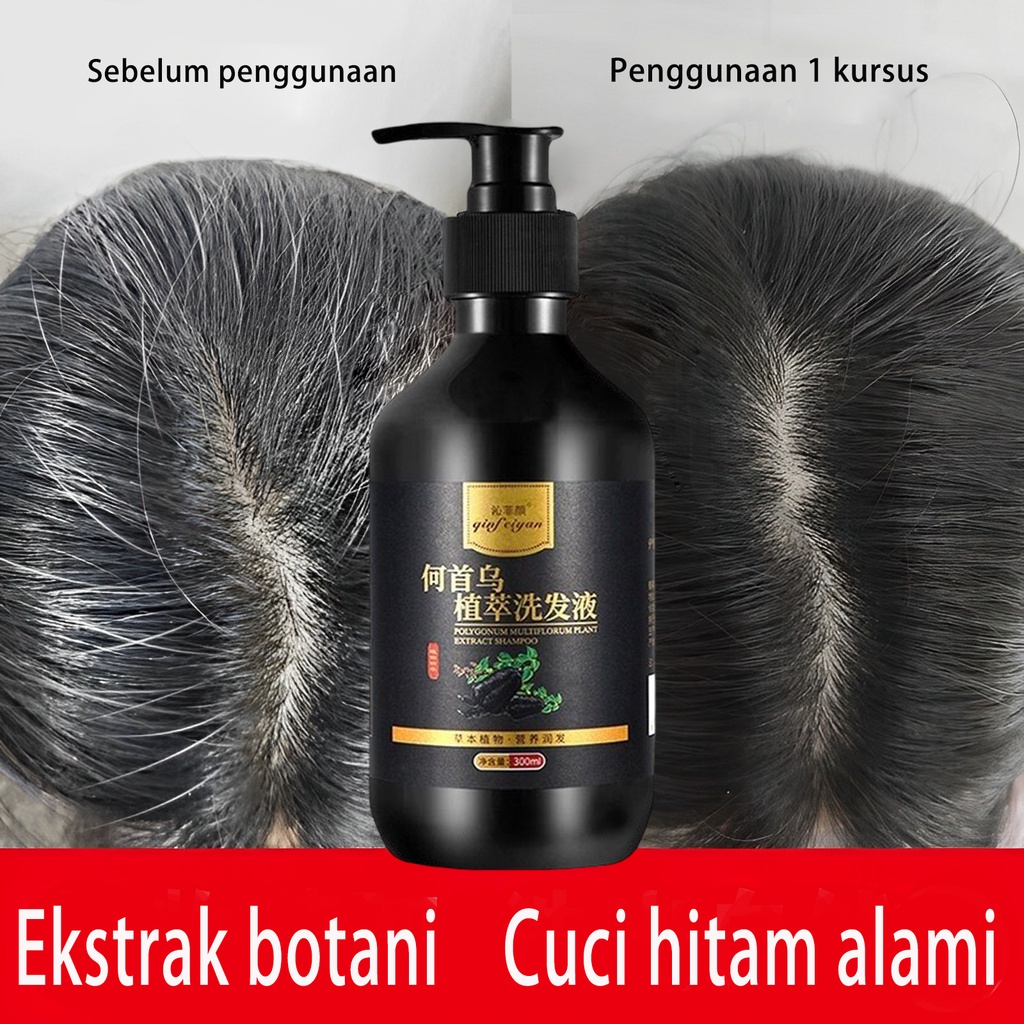 Perpisahan dengan Ketombe dan Rambut Lepek: Kisah Perjalanan Menuju Rambut Sehat dengan Sampo Herbal