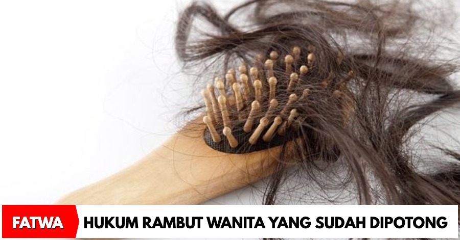 Apakah Rambut Itu Aurat? Menelisik Pandangan dan Realitas di Baliknya