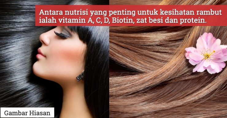 Rahasia Rambut Sehat: Makanan Kaya Protein yang Wajib Anda Konsumsi