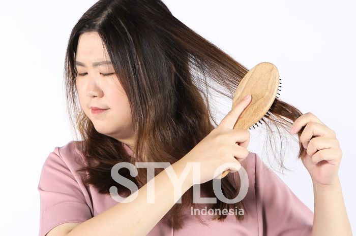 Telur: Rahasia Alami untuk Rambut Kusut yang Sulit Diatasi?