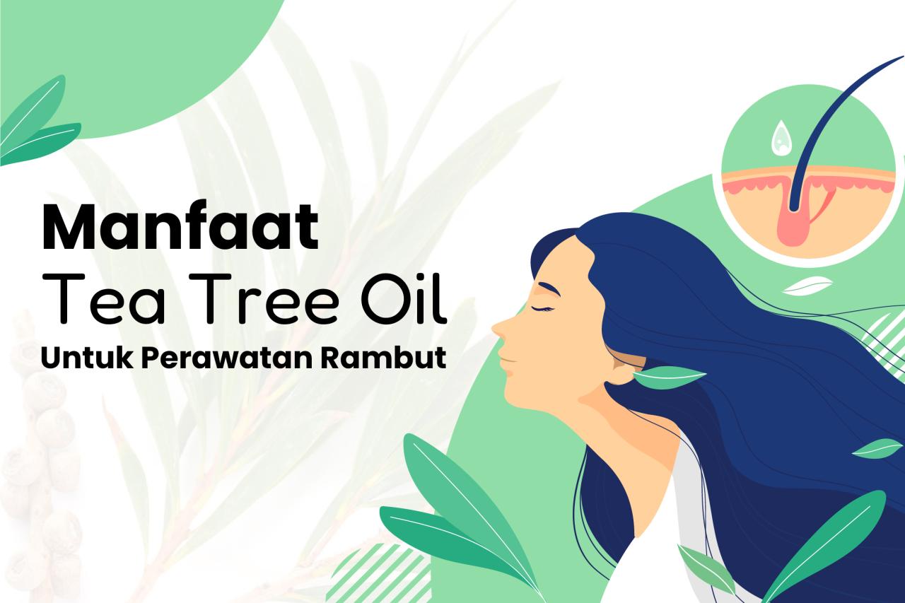 Rahasia Rambut Sehat dan Bersih: 3 Manfaat Minyak Tea Tree yang Jarang Diketahui