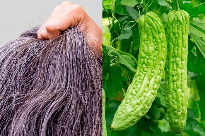 Ucapkan Selamat Tinggal pada Rambut Beruban: Panduan Mengatasi Uban dengan Tips dan Produk Terbaik