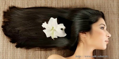 12 Tips Perawatan Rambut dengan Bahan Alami yang Harus Dicoba!