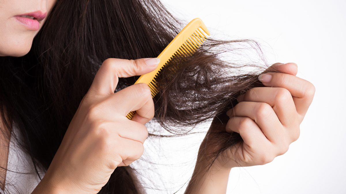 Rambut Kering dan Rontok? Tenang, Ini Panduan Lengkapnya!