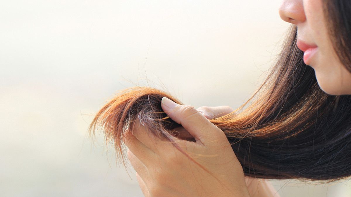 Rambut Kering dan Kusam? Atasi dengan Cara Ini!