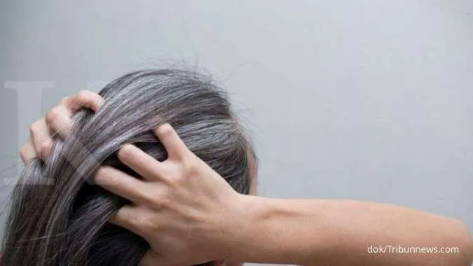 Misteri Rambut Putih: Mengapa Rambut Kita Beruban?