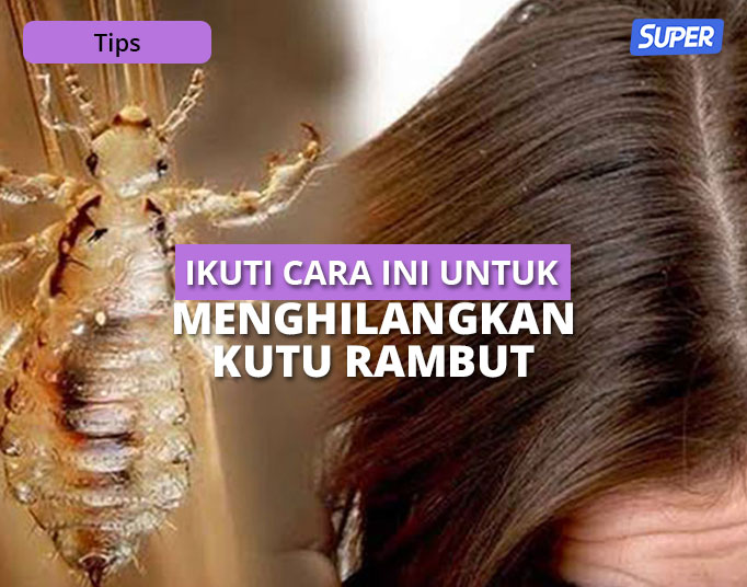 Bagaimana Bisa Ada Kutu di Rambut? Misteri yang Sering Bikin Gatal!