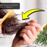 Rahasia Rambut Sehat dan Lebat dengan Minyak Zaitun: Atasi Kerontokan dan Kembalikan Keindahan Rambut Anda!