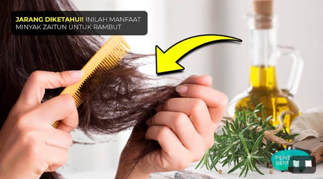 Rahasia Rambut Sehat dan Lebat dengan Minyak Zaitun: Atasi Kerontokan dan Kembalikan Keindahan Rambut Anda!