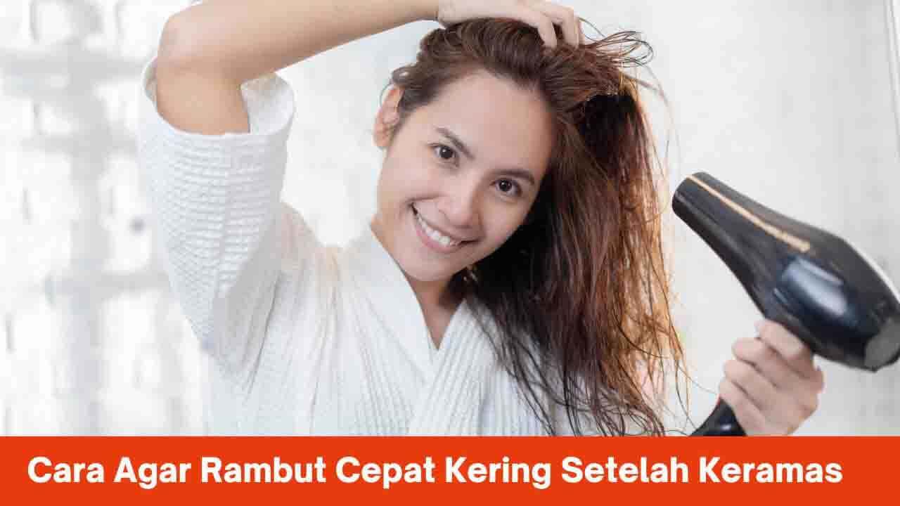 Rambut Kering Setelah Keramas? Atasi dengan Bahan Alami Ini!