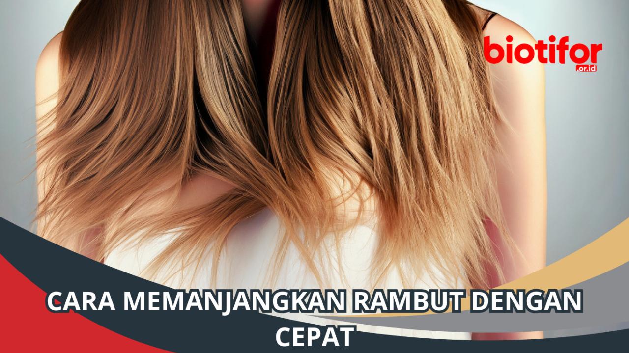 Ingin Rambut Lebat dan Panjang dalam Sekejap? Rahasia Pertumbuhan Rambut yang Efektif!