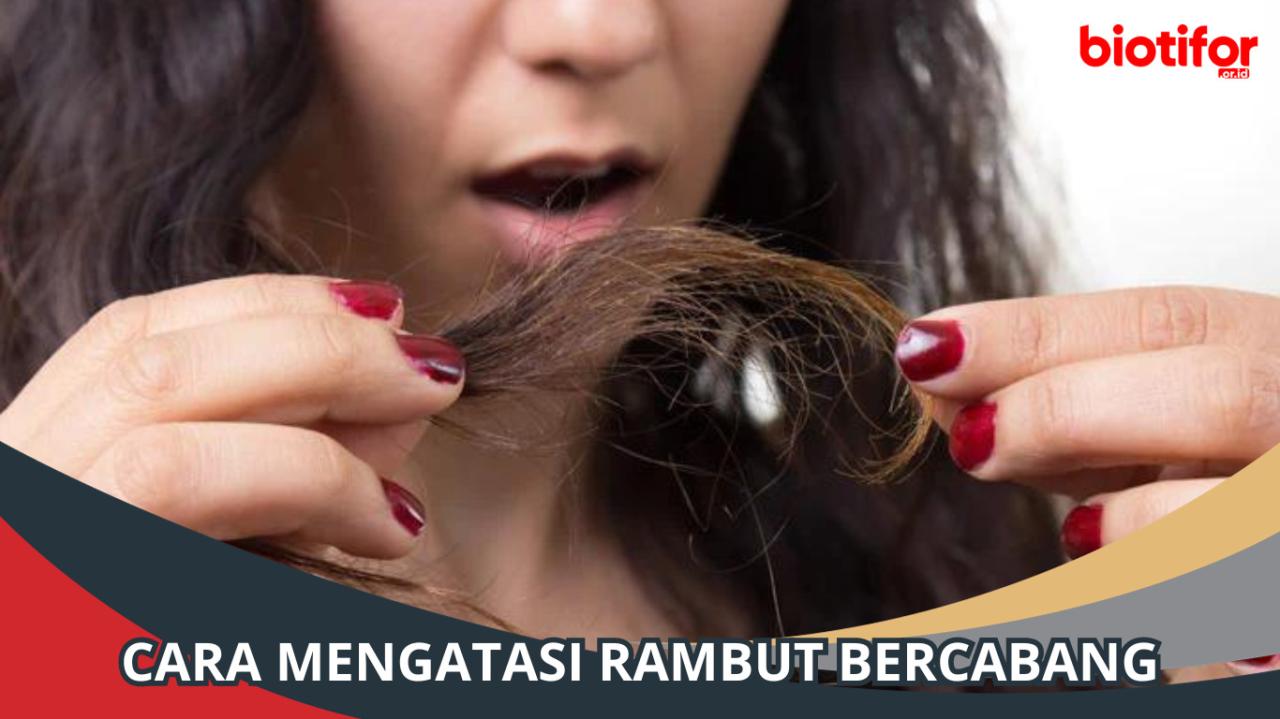 Rambut Bercabang: Musuh Terbesar Kecantikan Rambutmu? Atasi dengan Panduan Lengkap Ini!