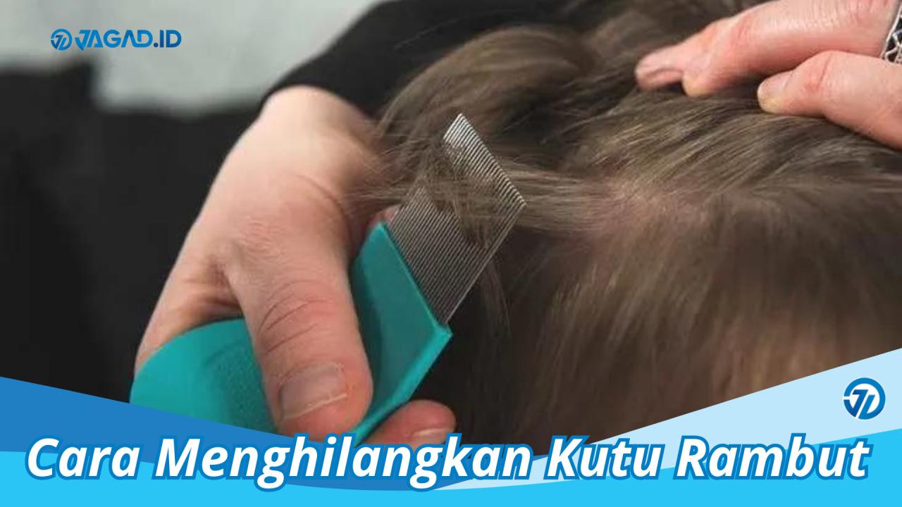 Perangi Kutu Rambut dengan Cara Efektif!