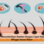 Mungkinkah Rambut Panjang dalam Seminggu?