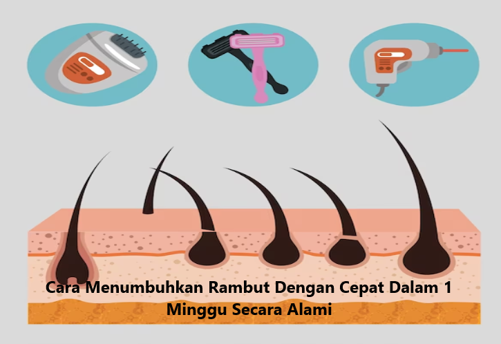 Mungkinkah Rambut Panjang dalam Seminggu?