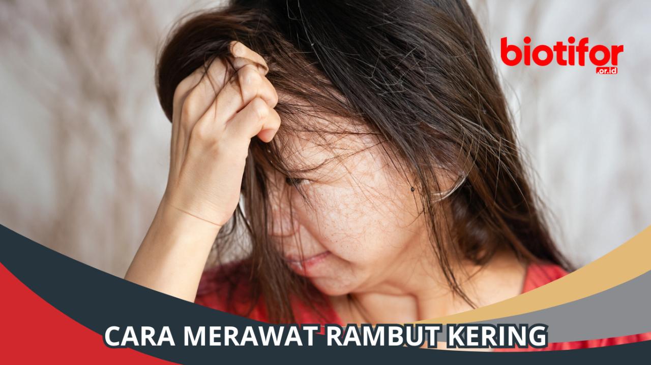 Rambut Kusut dan Kering? Tenang, Solusi Sehatnya Ada di Tanganmu!