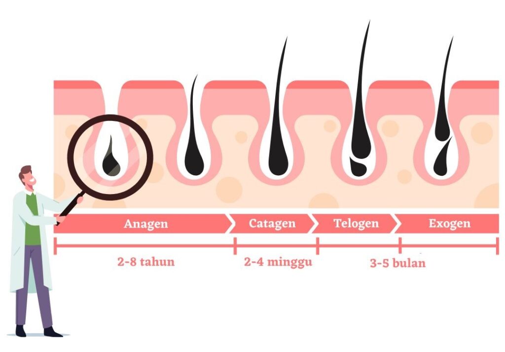 Apakah Omega-3 Baik untuk Pertumbuhan Rambut? Rahasia Rambut Sehat dan Berkilau