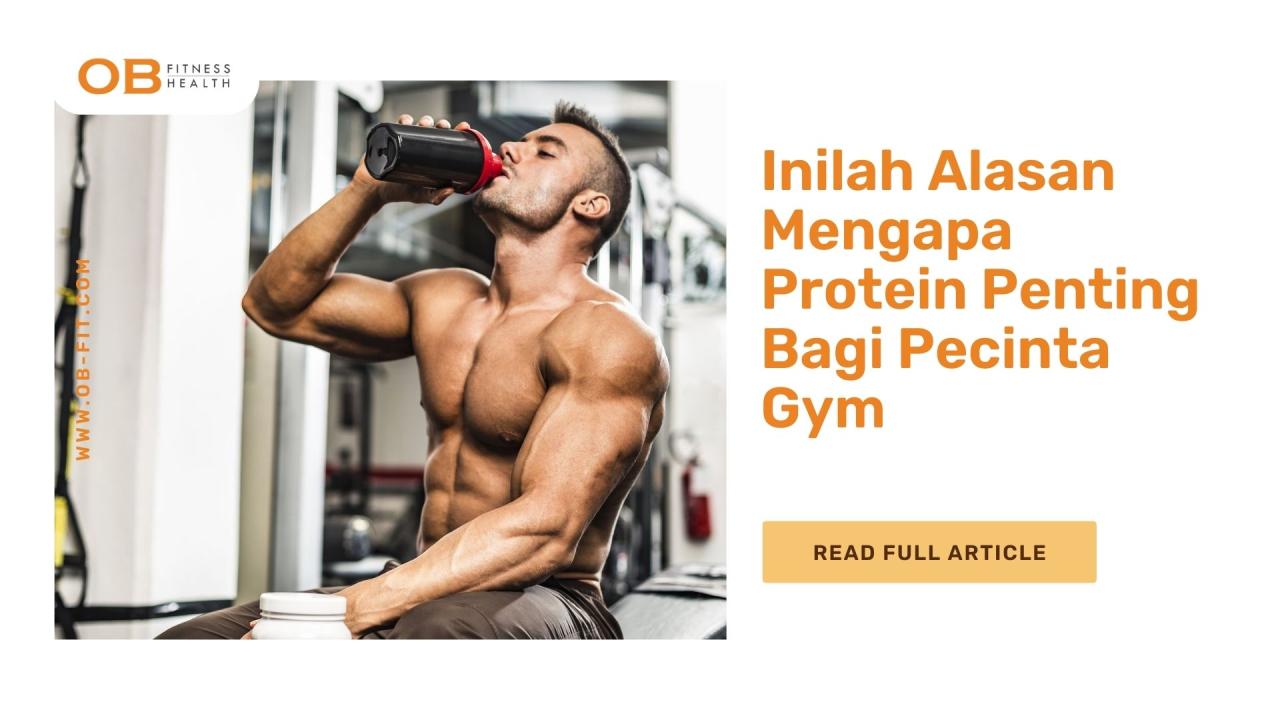 Mengapa Protein untuk Rambut Sehat Penting?