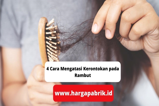 Rambut Rontok? Mungkin Asupan Nutrisi Anda yang Kurang!