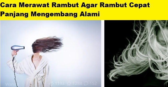 Rambut Panjangmu Rapuh? Atasi dengan Cara Tepat Ini!