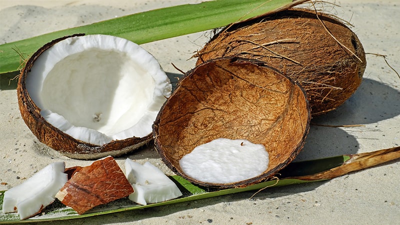 Rahasia Rambut Sehat dan Berkilau: Manfaat Luar Biasa Minyak Kelapa