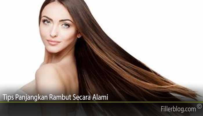 Rahasia Rambut Panjang Sehat: Taktik Jitu untuk Memanjangkan Rambutmu