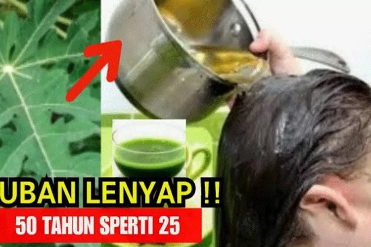 Ucapkan Selamat Tinggal Pada Rambut Kusut: Rahasia Obat Alami Yang Ampuh