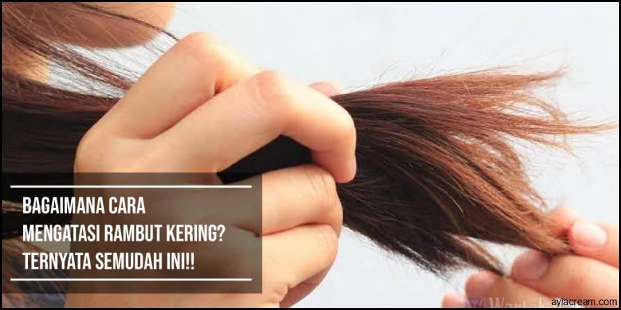 Rambut Kering dan Kusam? Atasi dengan Cara Ini!