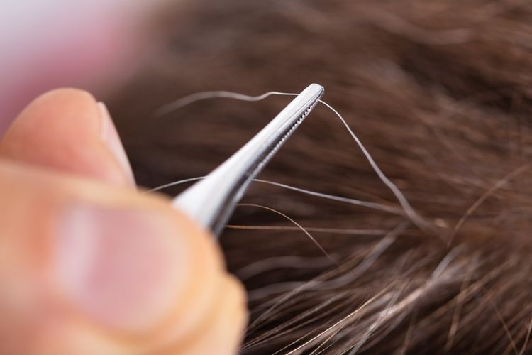 Rambut yang Tercabut Sampai Akar: Bisakah Tumbuh Kembali?