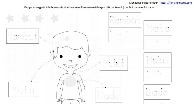 Rambut: Anggota Tubuh atau Aksesori? Sebuah Pertanyaan yang Mengundang Debat