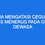 Pernahkah Anda Mengalami Rasa Gatal dan Ketombe yang Membandel di Kulit Kepala?