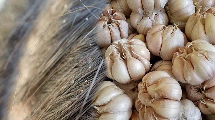 Hilangkan Kutu Rambut dengan Bawang Putih: Solusi Alami yang Efektif?