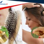 Rahasia Rambut Sehat dan Lebat: Atasi Rambut Rontok dengan Minyak Zaitun