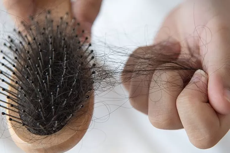 Rahasia Rambut Sehat: Zat Besi dan Nutrisi Pendukungnya