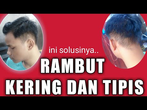 Rambut Kering dan Tipis? Tenang, Ada Solusi!