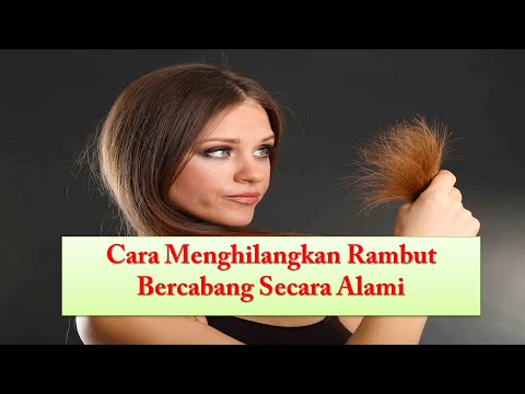 Rambut Bercabang? Tak Perlu Potong! Solusi Alami untuk Rambut Sehat dan Berkilau