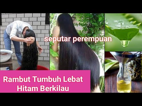 Cara Cepat Tumbuh Rambut: Teknik dan Produk untuk Mempercepat Pertumbuhan Rambut