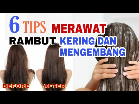 Rambut Kering dan Kusut? Tak Perlu Panik! Simak Tips Merawatnya di Sini!