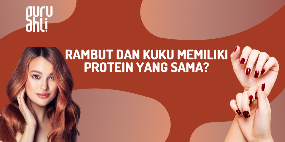 Bagaimana Asupan Protein Membantu Menguatkan Rambut?