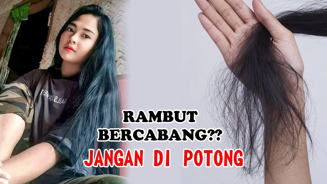 Ucapkan Selamat Tinggal pada Rambut Bercabang Tanpa Gunting!