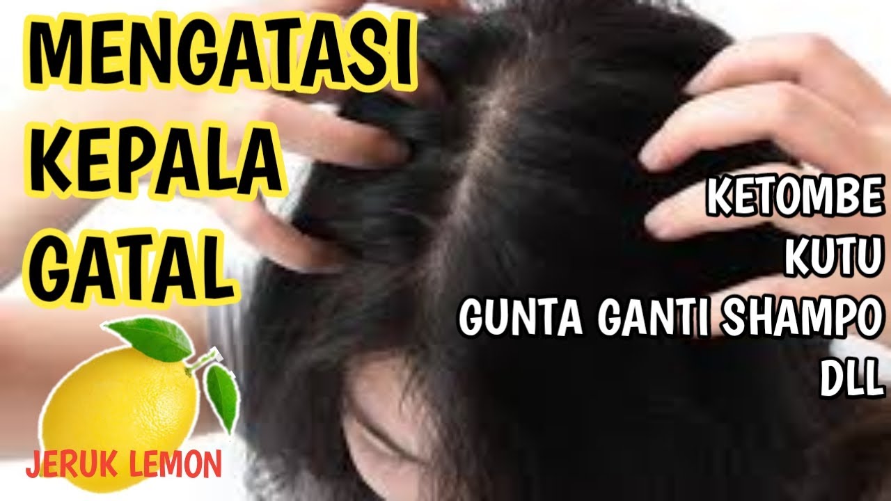 Rambut Gatal? Tak Perlu Panik! Solusi Ampuh Menghilangkan Gatal di Kulit Kepala