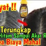 Apakah Rambut Uban Bisa Hilang? Menyingkap Rahasia di Balik Rambut Beruban